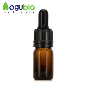 Natural Mint Flavor in Cosmetics