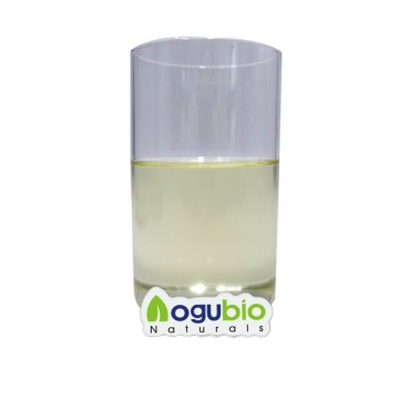 Mulberry Root Extract in Cosmetics Is The Natur...