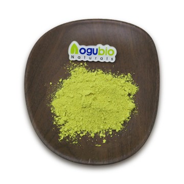 Quercetin Potent Antioxidant & Anti-Aging Agent