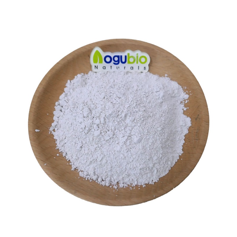 aogebio Silica Dimethyl Silylate.jpg