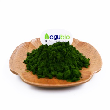 High Activity  Chlorella Extract