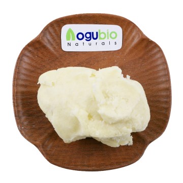 Organic Natural Cocoa Butter Refined/Unrefined