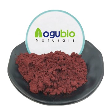 CI 77491/Iron Oxide Red