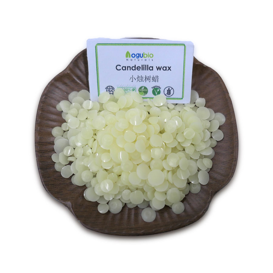 Candelilla-wax-(31).jpg
