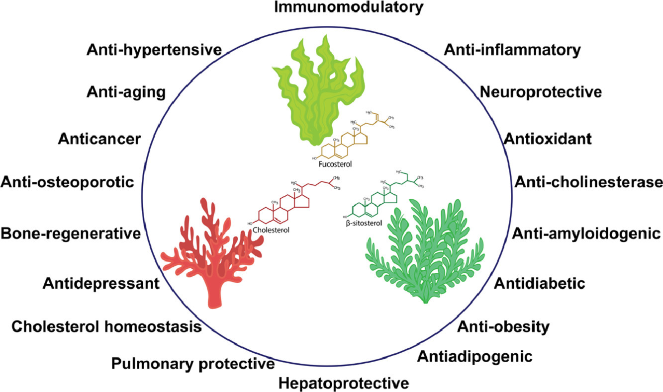 Benefits-of-phytosterols.jpg