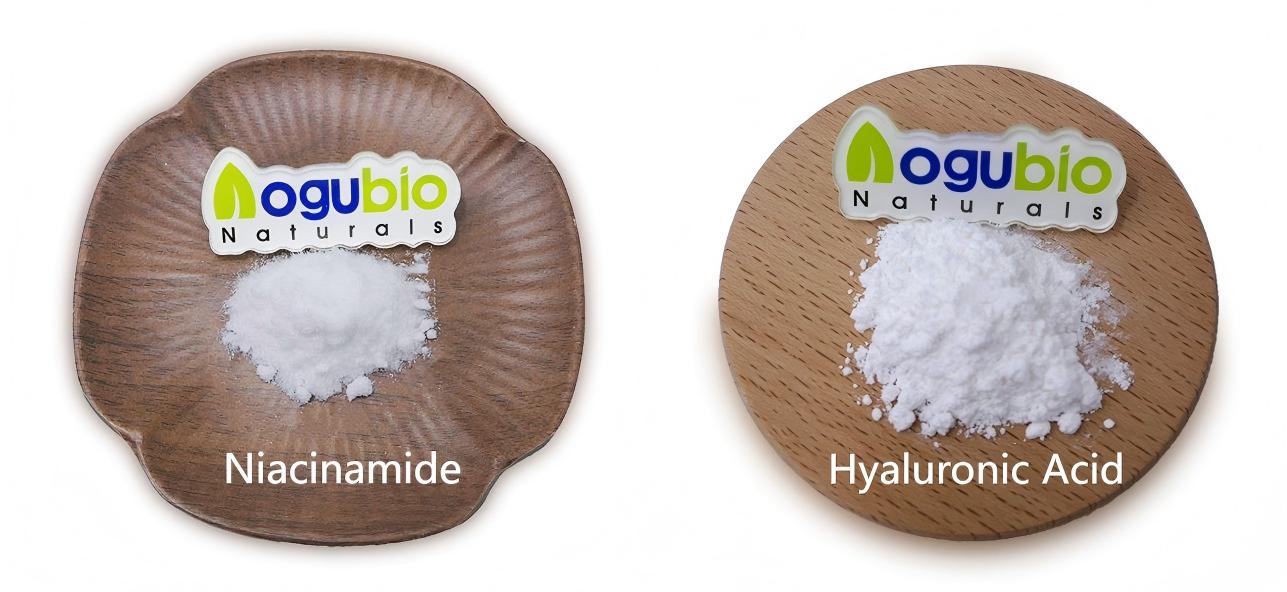 Niacinamide vs. Hyaluronic Acid: Which One Is Better?