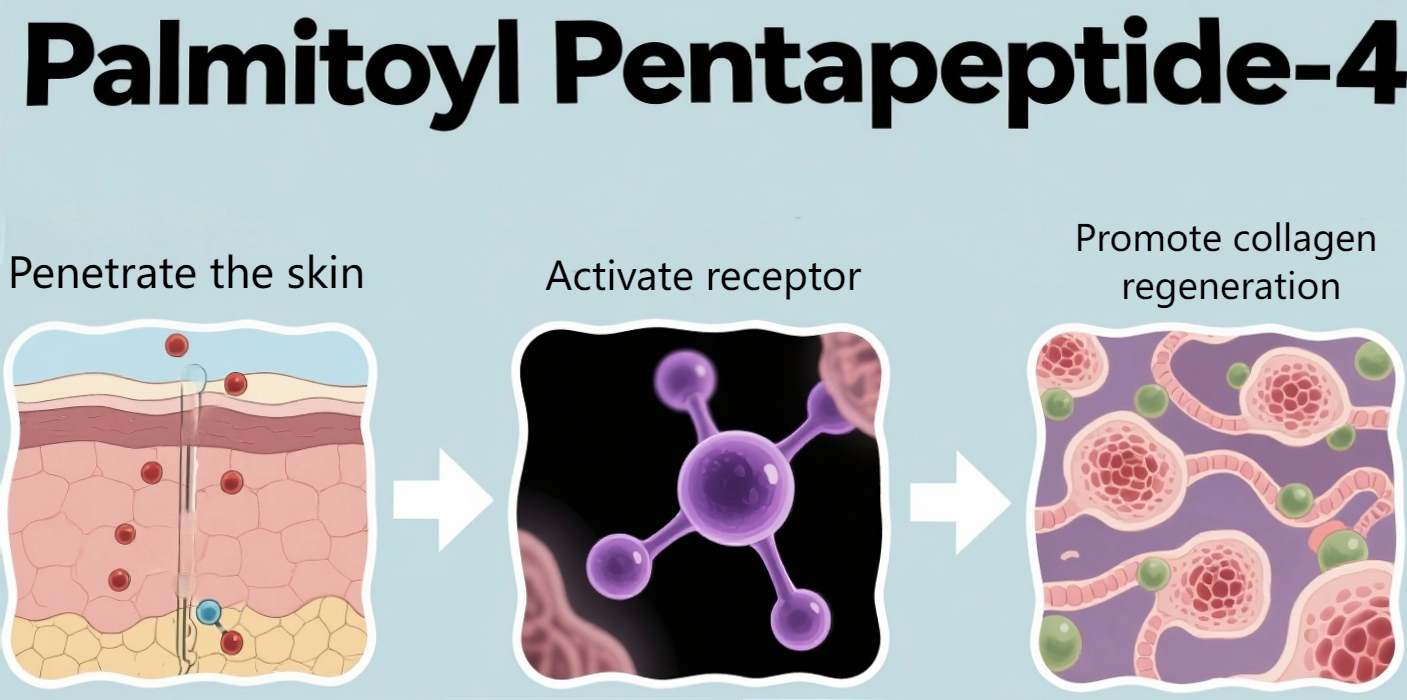 Palmitoyl Pentapeptide-4: A New Choice for Anti-Wrinkle Ingredients​