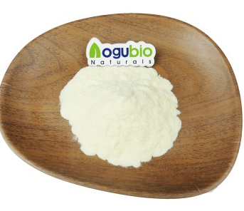 Aloe Vera Extract3.png