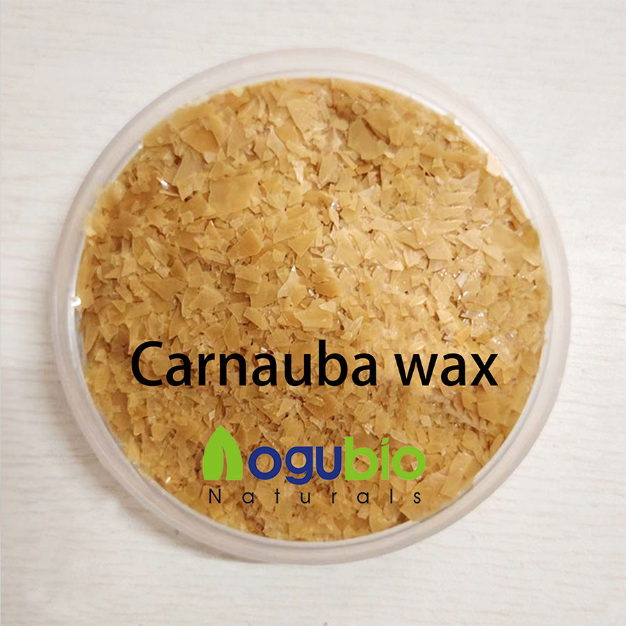 Carnauba Wax in Cosmetics: A Professional Guide with Scientific Backing