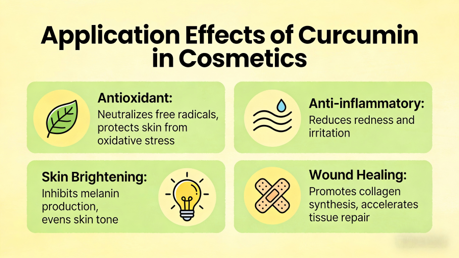 Curcumin in Cosmetics(1).png
