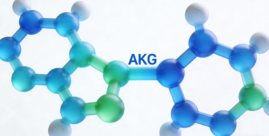 Alpha-Ketoglutaric Acid (AKG): The Science-Backed Anti-Aging & Metabolic Booster