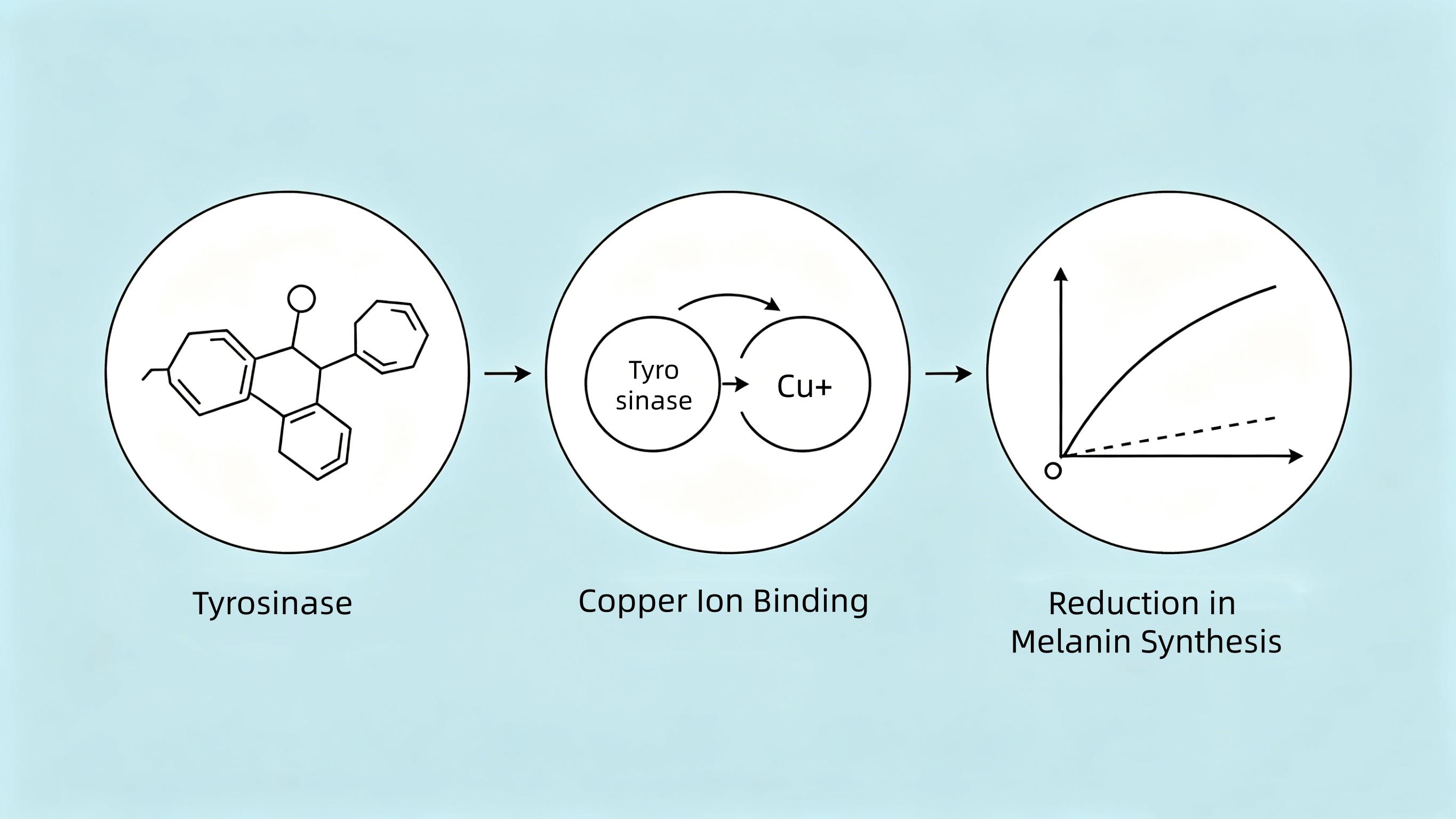 Kojic Acid- 2.jpg