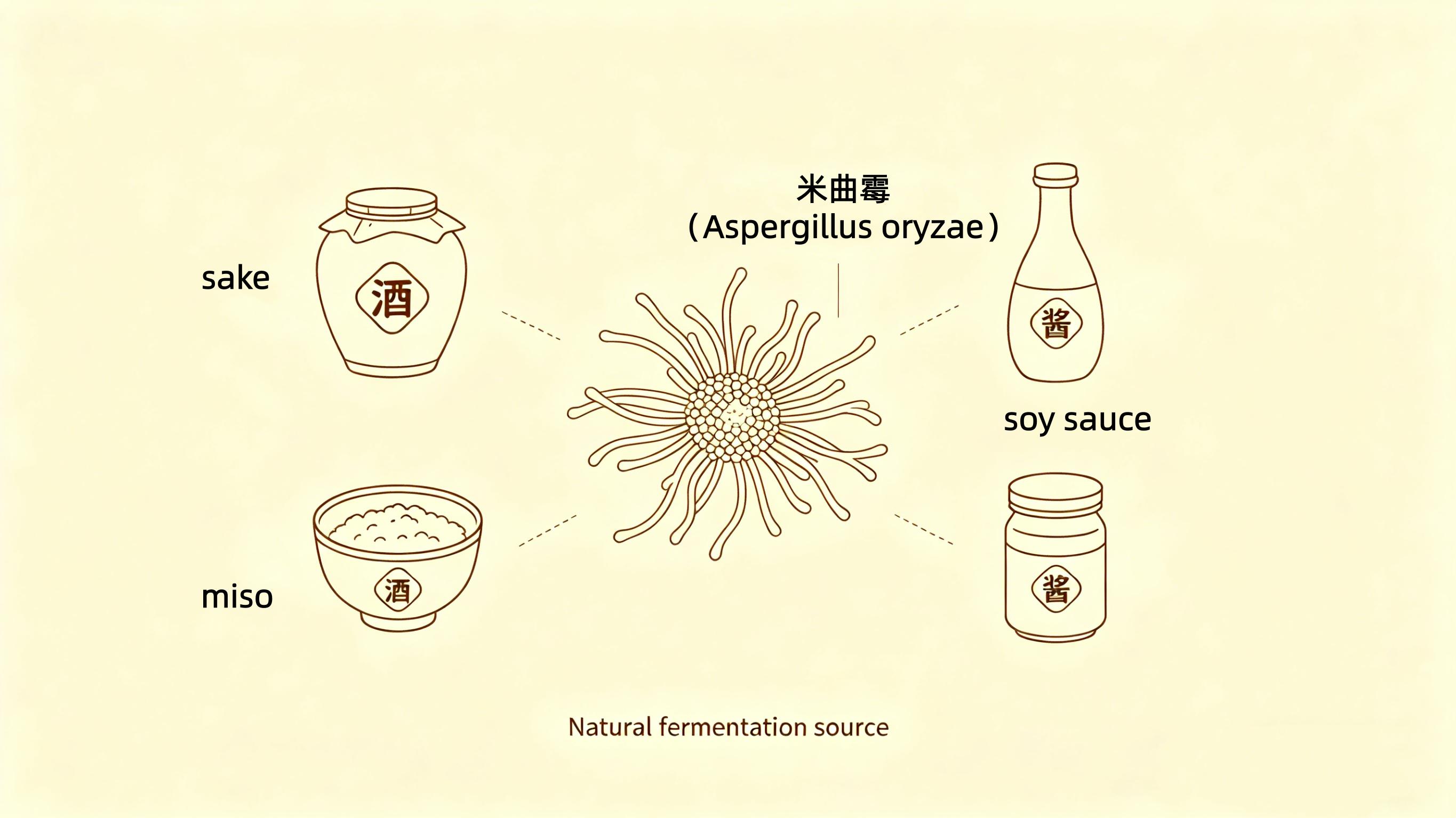 Kojic Acid- 3.jpg
