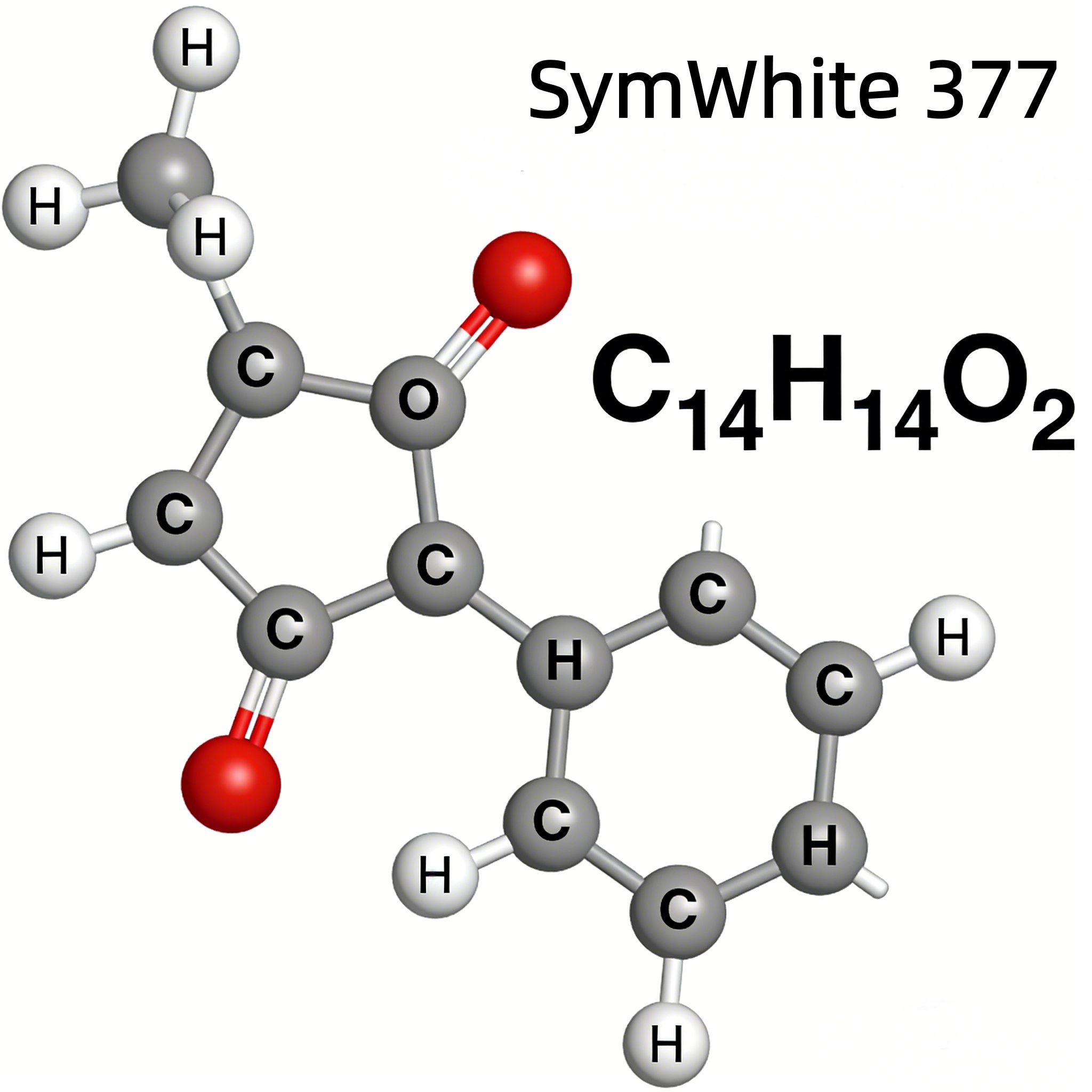 SymWhite 377 2.jpg