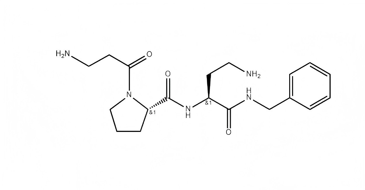 SYN-AKE 1.jpg