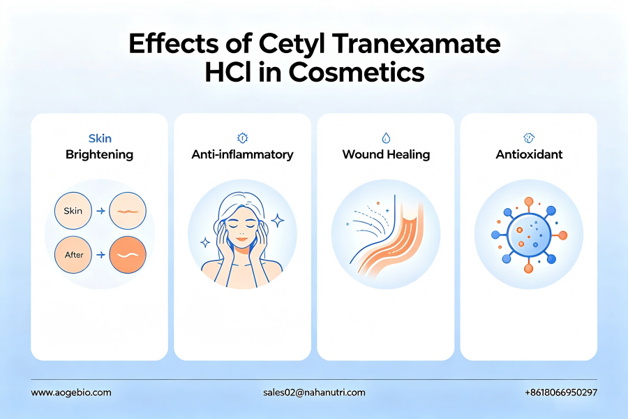 What Makes Cetyl Tranexamate HCl Stand Out?