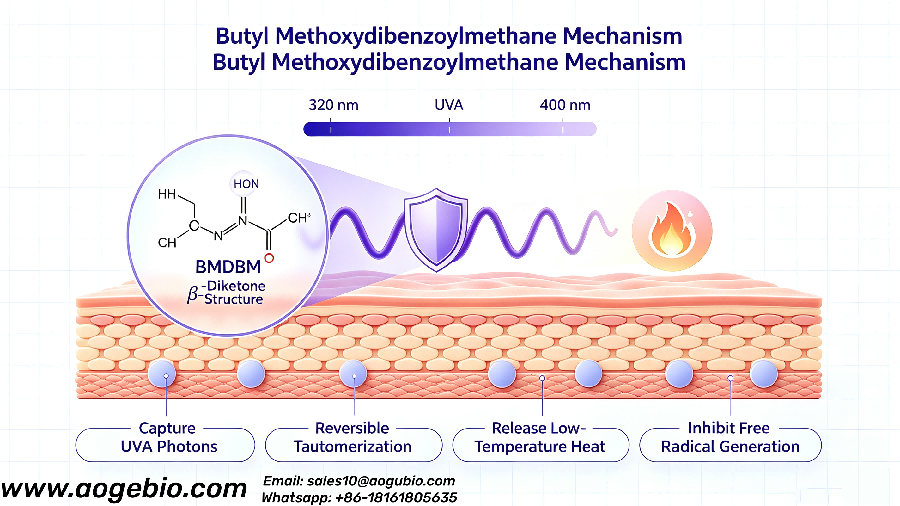 Butyl Methoxydibenzoylmethane: The Gold-Standard UVA Filter for Full-Spectrum Sunscreen Formulations