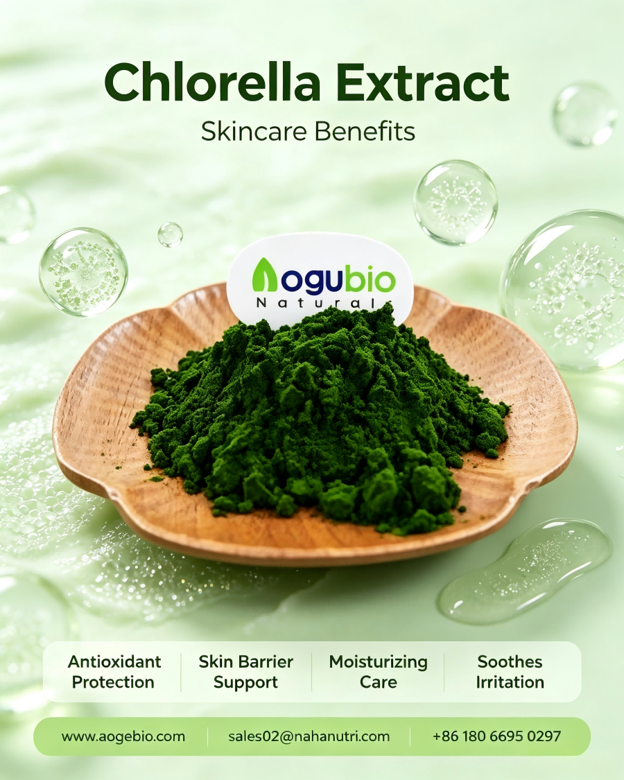 Does Chlorella Extract Boost Skin Antioxidation?
