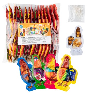 Irresistible Chocolate & Biscuit Crunch in Ice Cream Shell