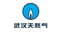 wuhanfire