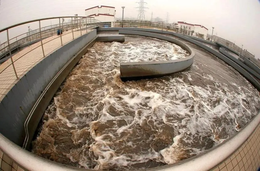 Explore the "Influence Code" of Sludge Concentration on Nitrogen and Phosphorus Removal.