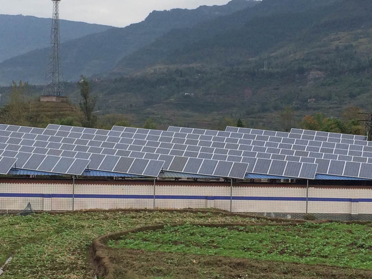 Ultimate Guide to Choosing the Best Hybrid Inverter for Your Home Energy Needs