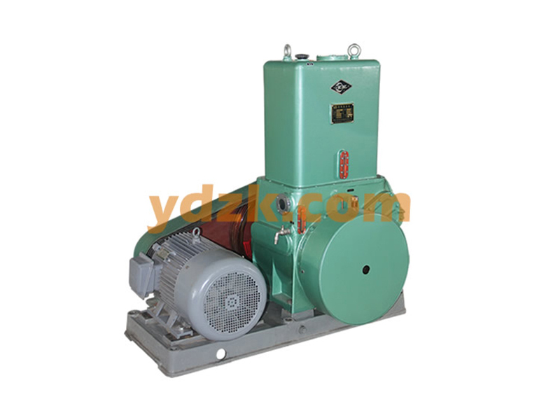 Rotary Piston Vacuum Pumps