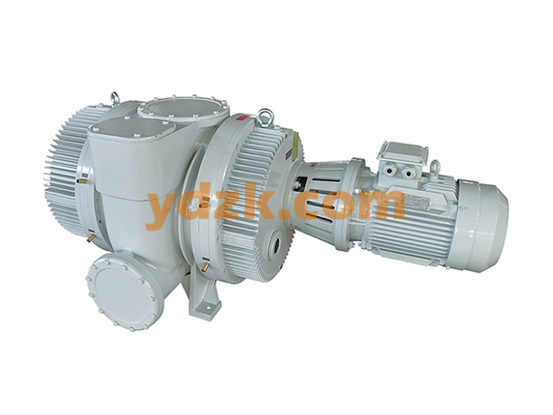 Roots Vacuum Pumps