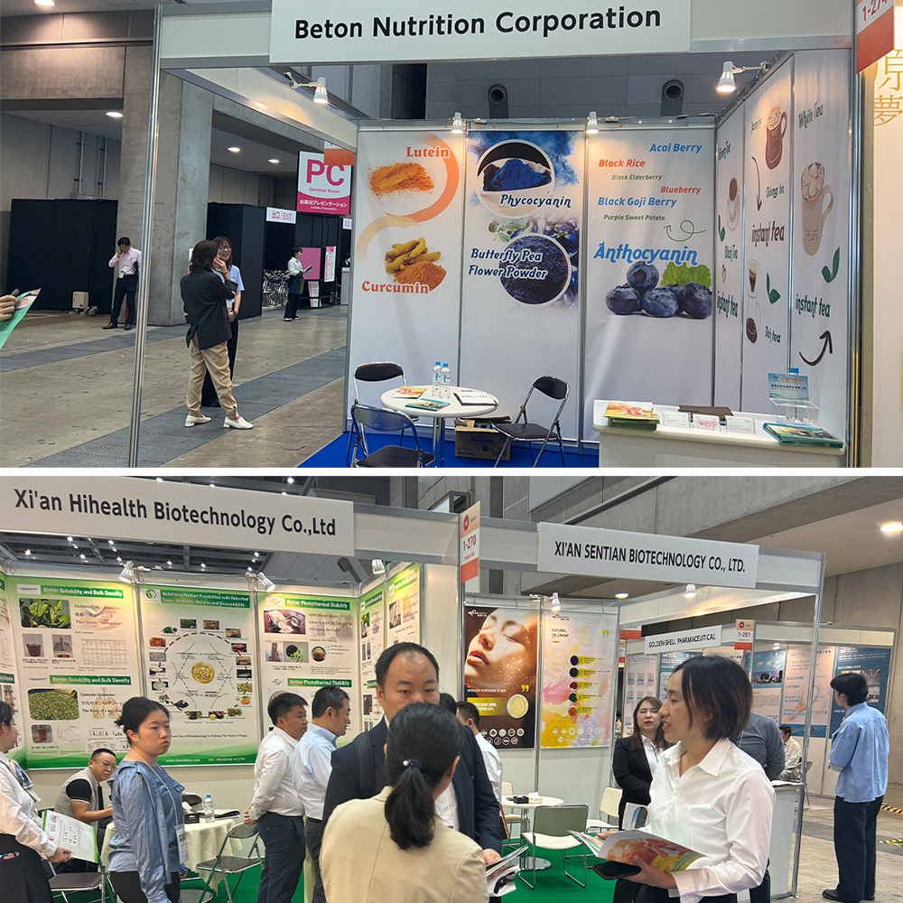 2024 Beton HiJapan (1)