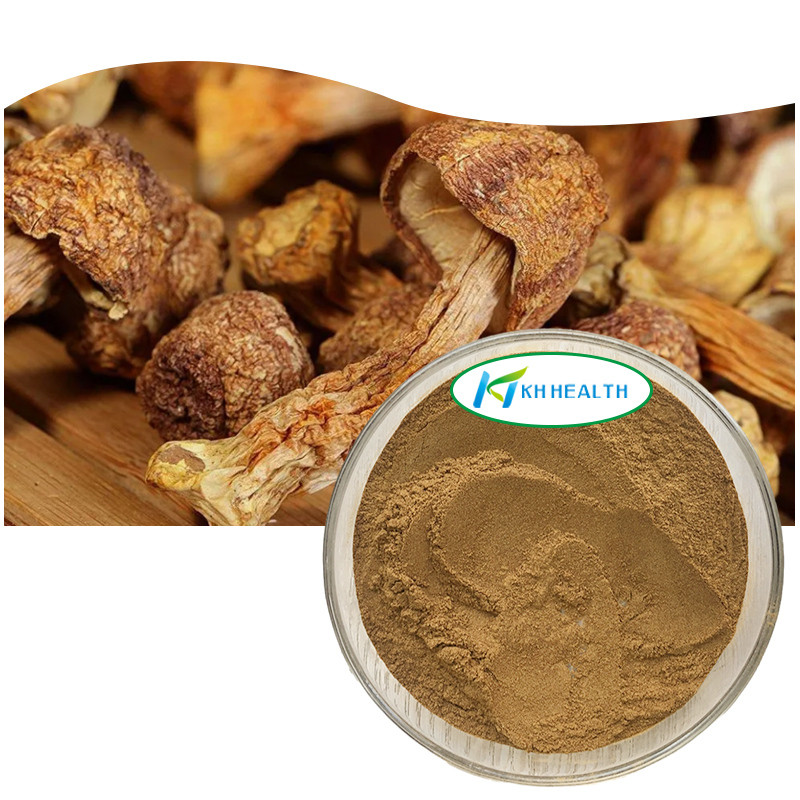 Agaricus blazei Powder.jpg