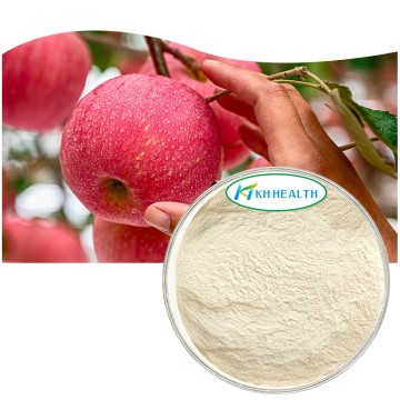 Organic Apple Powder Supplier