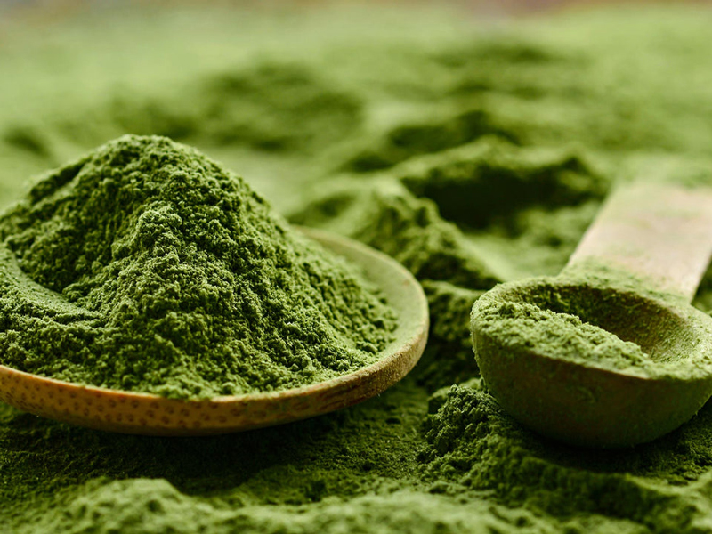Er grøn te og matcha den samme plante?