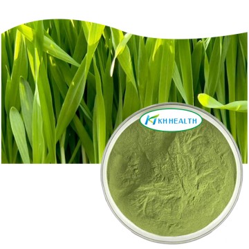 Organic Barley Grass Juice Powder Supplier