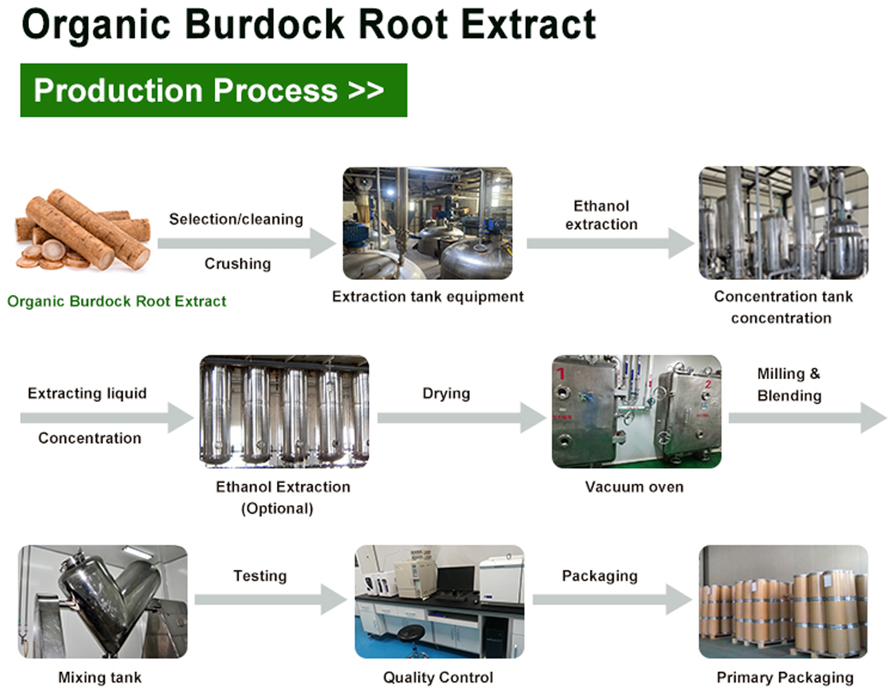Organic-Burdock-Root-Extract