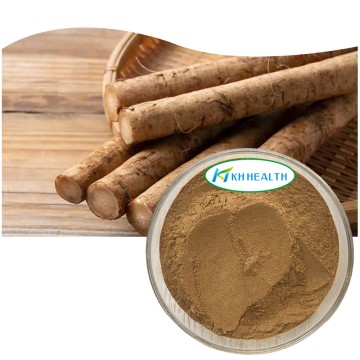 Organic Burdock Root Extract Manufacturer
