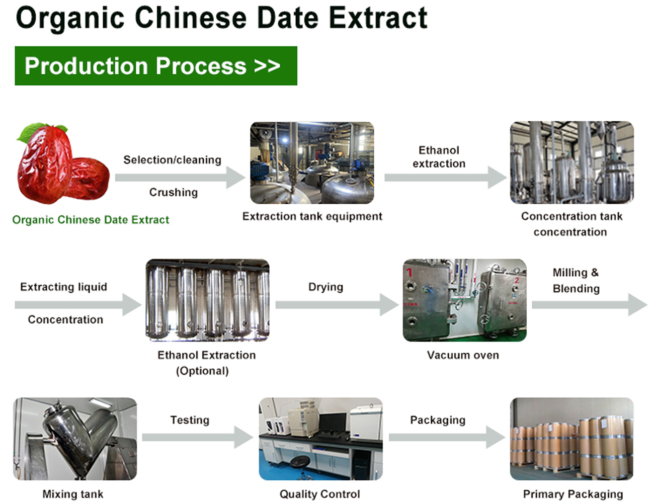 extract organic de jujube