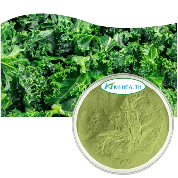 Organic Kale Powder Supplier