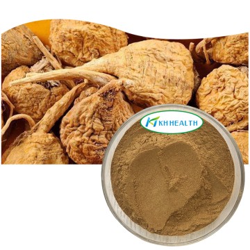 Certified Organic Gelatinized Maca Extract Powder Supplier