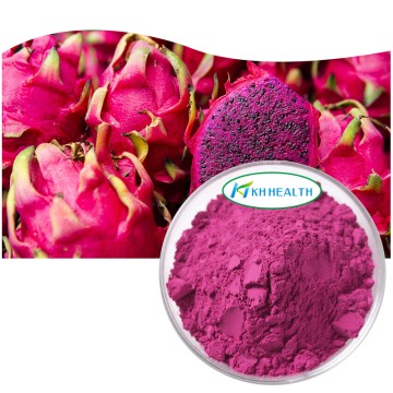 Organic Dragon Fruit Powder Supplier