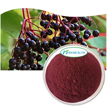 Organic Elderberry Powder for Beverages and Supplements