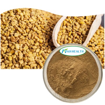 Organic Fenugreek Seed Extract Powder Manufacturer