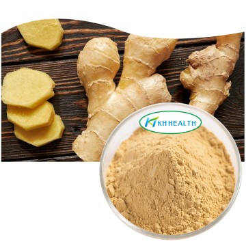 Organic Ginger Extract Powder Manufacturer