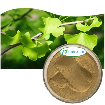Producent af økologisk Ginkgo-bladekstrakt