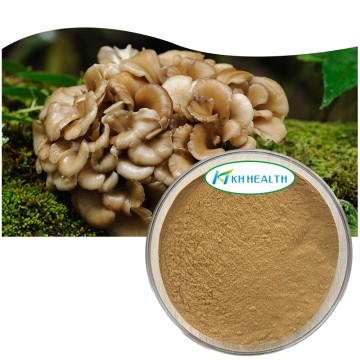 Organic Maitake Extract Powder Manufacturer