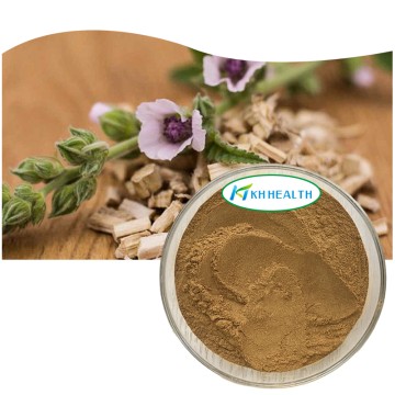 Organic Marshmallow Root Extract Powder Supplier