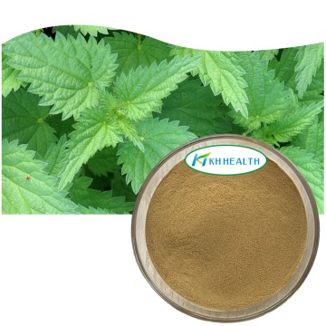 Producător de extract organic de frunze de urzică