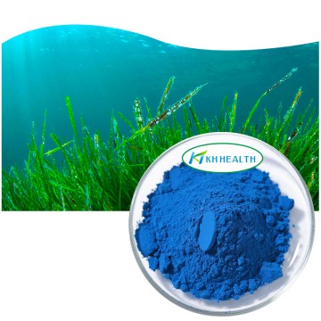 Organic Phycocyanin Powder Manufacturer