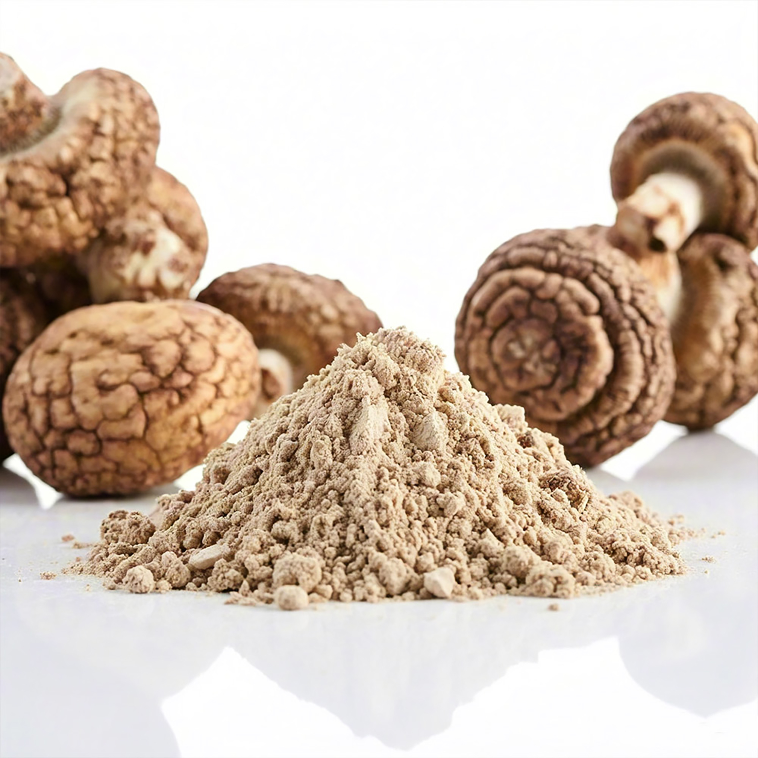 extract organic de shiitake pudră