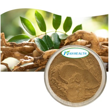 Organic Tongkat Ali Extract Manufacturer