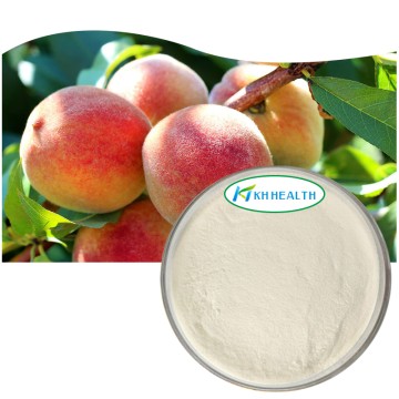 Organic Peach Powder Manufacturer